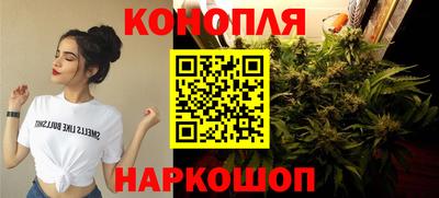 наркотики Будённовск